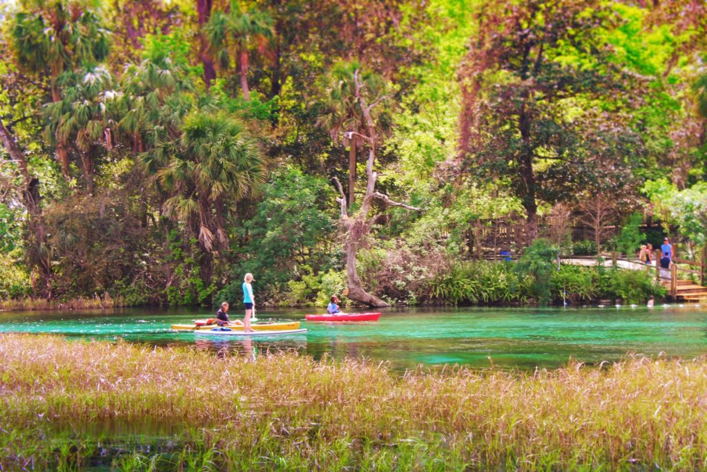 Rainbow Springs State Park Florida's magical backcountry getaway