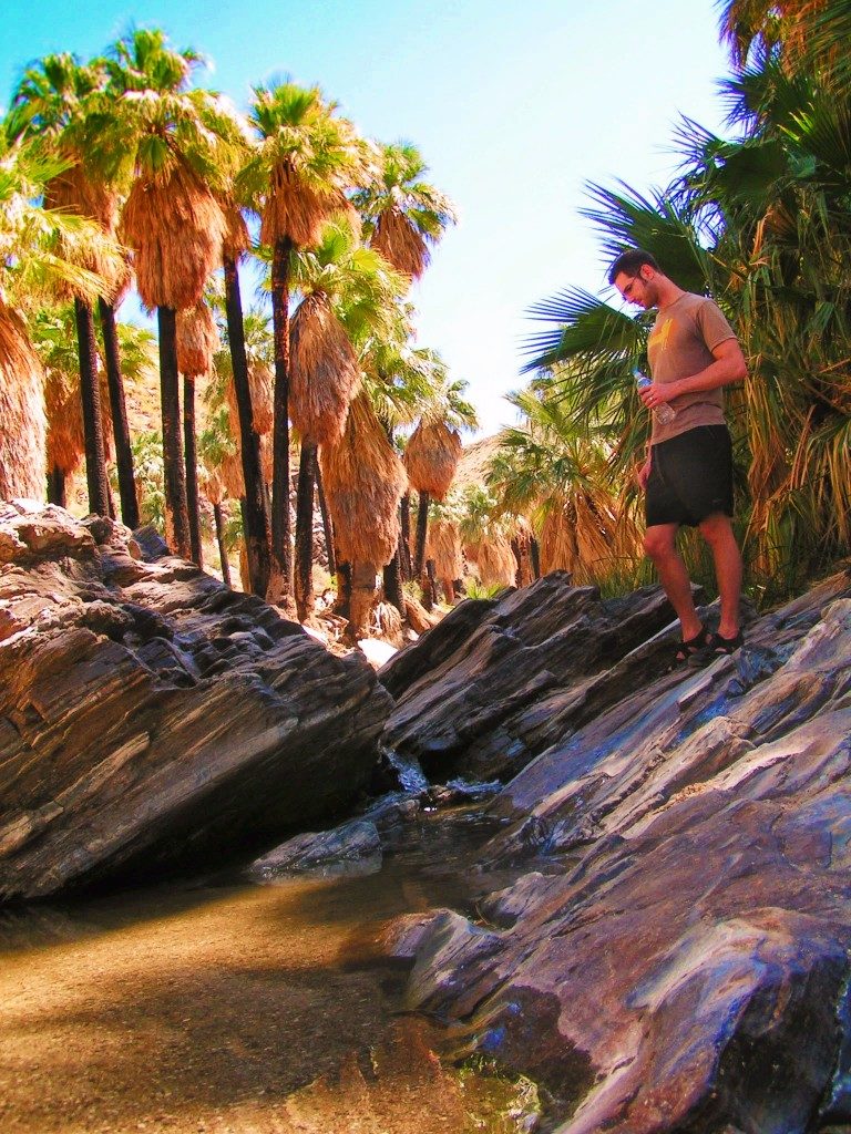 Hiking Palm Springs: Indian Canyons and the oasis in the desert - Chris Taylor Hiking At InDian Canyons At Aguas Calientes Palm Springs 3 768x1024