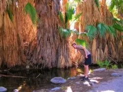 Chris Taylor hiking at Indian Canyons at Agua Caliente Palm Springs 8