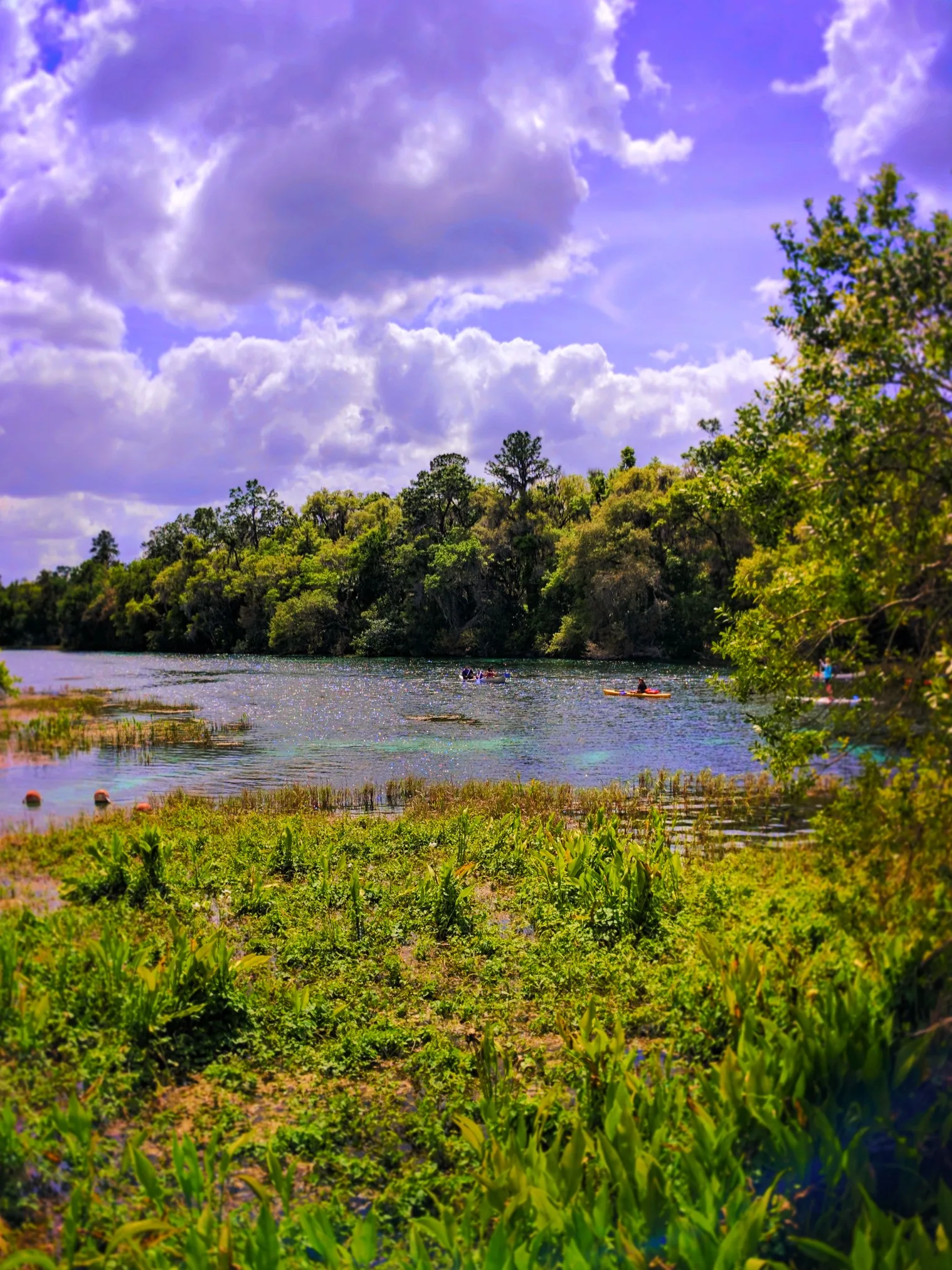 Crystal Clear water with Kayakers at Rainbow Springs State Park 2