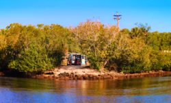 Escape Campervan in Everglades City Florida 1