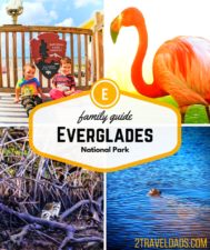 Everglades National Park is home to alligators, flamingos, manatees and more. Florida's greatest swamp is beautiful, interesting and fun for family travel! 2traveldads.com