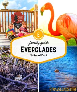 Everglades National Park is home to alligators, flamingos, manatees and more. Florida's greatest swamp is beautiful, interesting and fun for family travel! 2traveldads.com