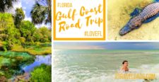 A Florida Gulf Coast road trip is full of unique nature, beautiful beaches and wildlife unlike anywhere. Manatees and pristine springs make unforgettable family travel moments. 2traveldads.com