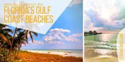 The Florida Gulf Coast beaches are incredible, from sugar sand to nothing but shells, wildlife to gentle waves. So much fun for family travel! 2traveldads.com