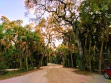 Fort De Soto Park Campgroung Pinellas County Florida 1