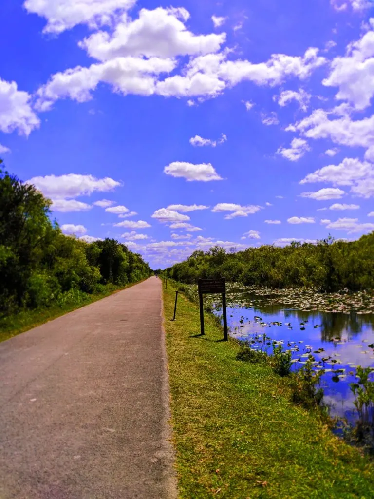 Hiking Road at Everglades NPS Shark Valley 2