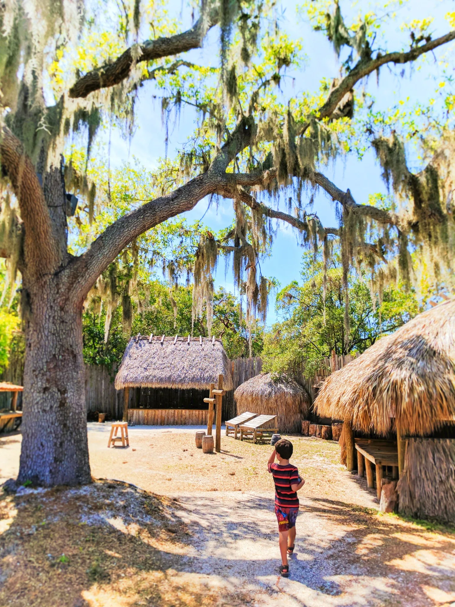 Living History Village at De Soto National Memorial Bradenton 2