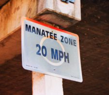 Manatee-Zone-Speed-Sign-Everglades-City-Florida-1-225x196.jpg