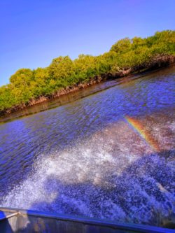 Rainbow Mist on Airboat Ride Everglades City Florida 1