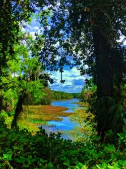 Rainbow River at Rainbow Springs State Park 1