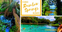 Rainbow Springs State Park is the most magical, colorful escape in Florida's back country. From crystal clear springs to waterfalls, it's the perfect contrast to Florida's swamps and beaches. 2traveldads.com