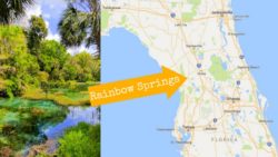Rainbow Springs map with 2TravelDads image