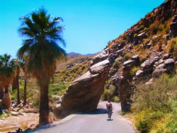Road to Indian Canyons at Aguas Calientes Palm Springs 1