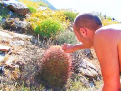 Rob Taylor hiking at Indian Canyons at Agua Caliente Palm Springs 2