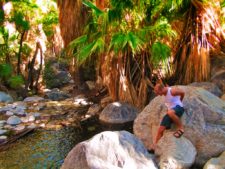Rob Taylor hiking at Indian Canyons at Agua Caliente Palm Springs 4