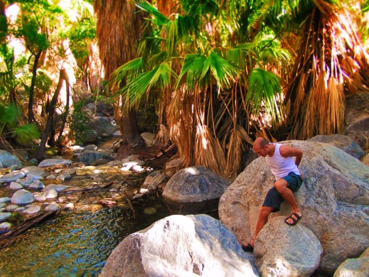 Hiking Palm Springs Indian Canyons and the oasis in the desert