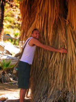 Rob Taylor hugging palm at Indian Canyons at Agua Caliente Palm Springs 1