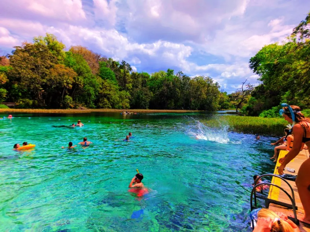 Swimming platform at Rainbow Springs Florida State Park 3