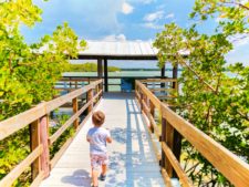 Taylor Family Matanzas Pass Preserve Fort Myers Beach Florida 3b