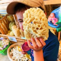 Taylor Family Sponge Shopping in Tarpon Springs Florida 2