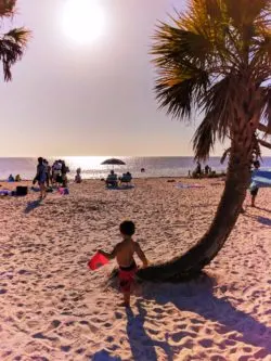 Taylor Family at Beach in Tarpon Springs Florida 4