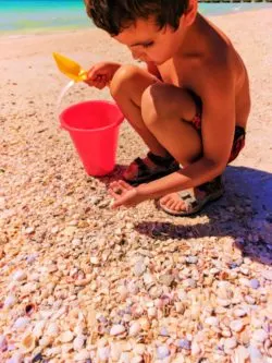 Taylor Family beachcombing at Bradenton Beach Manatee County Florida 1