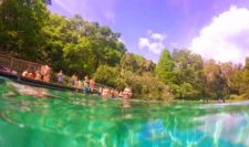 Taylor Family in Rainbow River at Rainbow Springs State Park 3