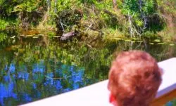 Taylor Family with Alligator Everglades NPS Shark Valley Visitors Center 1