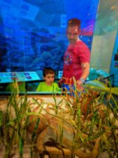 Taylor Family with undersea displays at Biscayne National Park 1