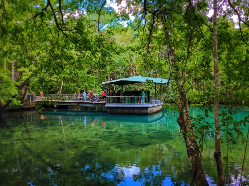 Underwater Viewing building at Homosassa Springs State Park Florida 3