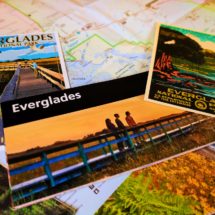 Everglades National Park is home to alligators, flamingos, manatees and more. Florida's greatest swamp is beautiful, interesting and fun for family travel! 2traveldads.com