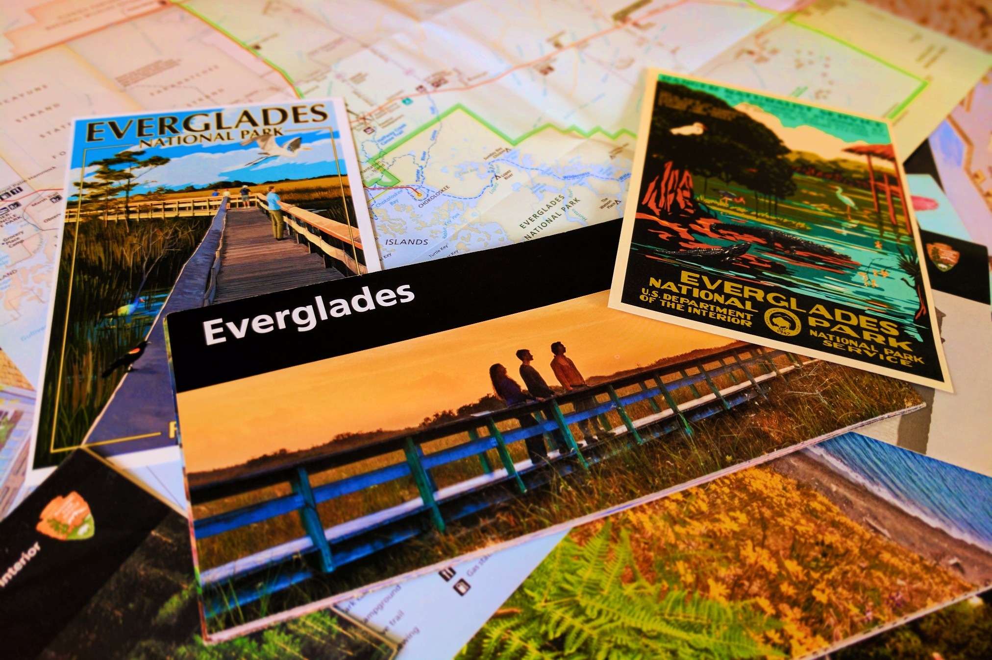 Vintage-Everglades-National-Park-postcard-and-map-2.jpg