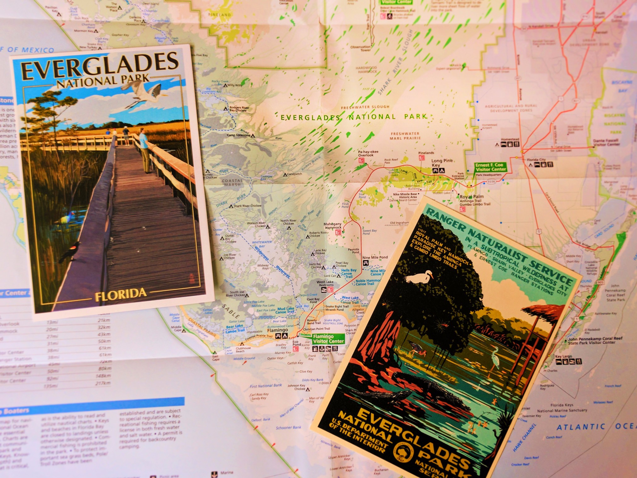 Vintage Everglades National Park postcard and map 3