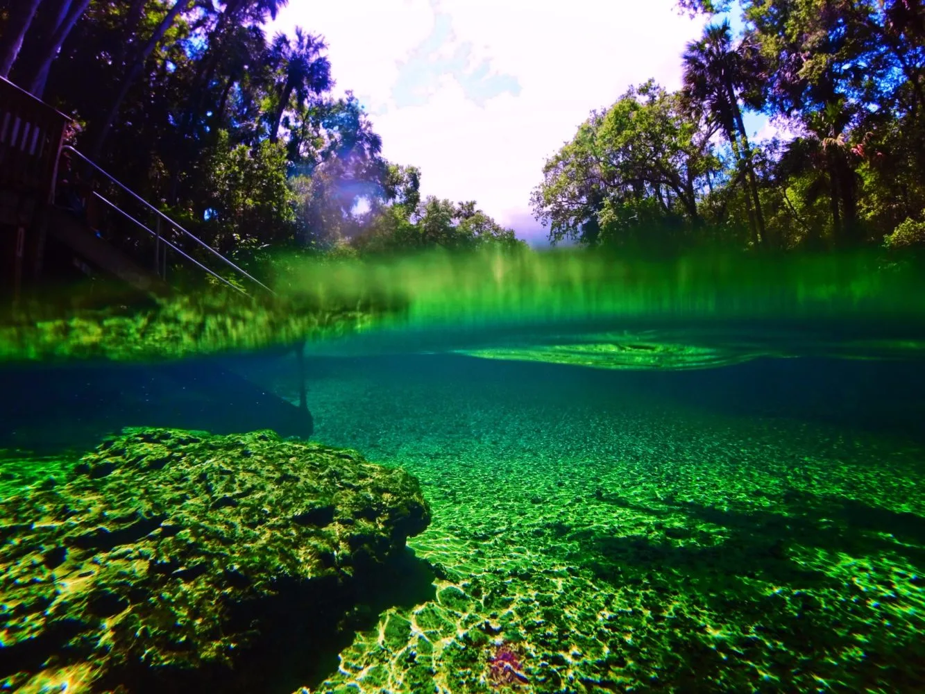 Crystal clear water at Blue Spring State Park Daytona Beach 2