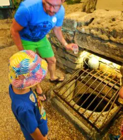 Debating drinking from the Fountain of Youth St Augustine 1