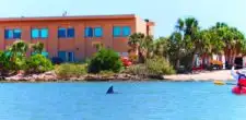 Dolphins in Matanzas River kayaking Ripple Effect Ecotours St Augustine 2