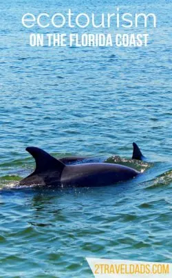 Ecotourism in Florida is perfect for smarter travel. There are lots of ecotours in Florida that are great for learning about natural habitats with guides who are actively making a difference in their environment and impacting tourism in a positive way. 2traveldads.com