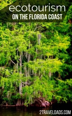 Ecotourism in Florida is perfect for smarter travel. There are lots of ecotours in Florida that are great for learning about natural habitats with guides who are actively making a difference in their environment and impacting tourism in a positive way. 2traveldads.com