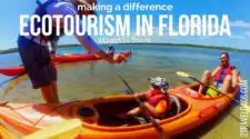 There are lots of ecotours in Florida that are perfect for learning about natural habitats with guides who are actively making a difference in their environment and impacting tourism in a positive way. 2traveldads.com
