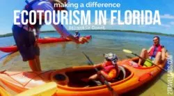 There are lots of ecotours in Florida that are perfect for learning about natural habitats with guides who are actively making a difference in their environment and impacting tourism in a positive way. 2traveldads.com