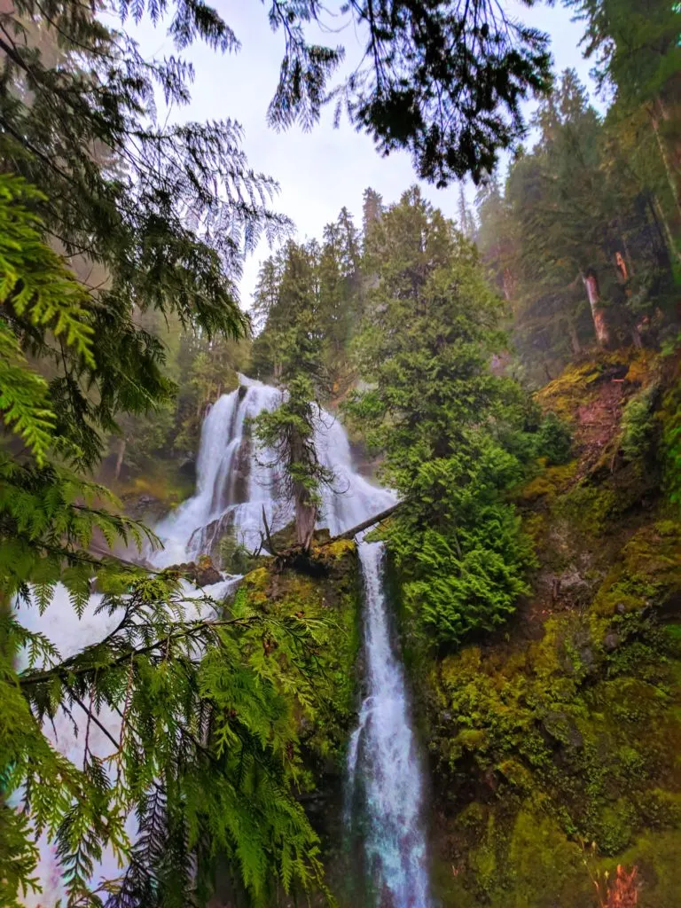 Falls Creek Falls Carson Washington 2