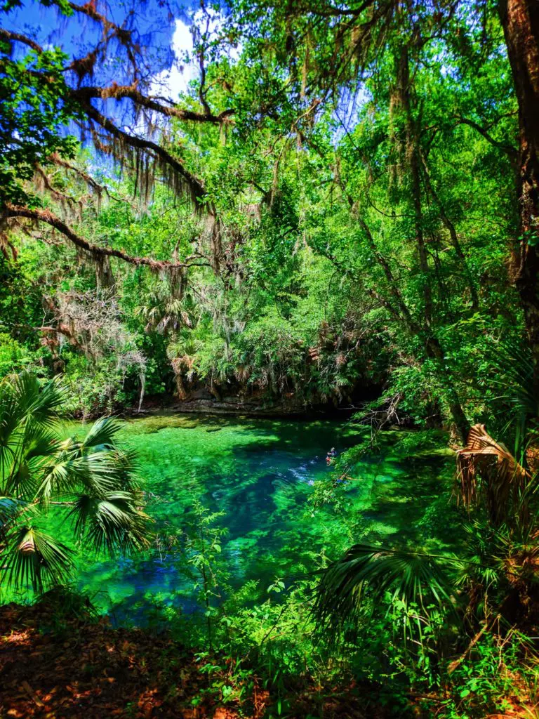 Headsprings at Blue Spring State Park Daytona Beach 2