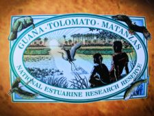 Logo GTM Research Reserve St Augustine Florida 1