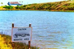 Manatee Sign at Estuary at GTM Research Reserve St Augustine Florida 1