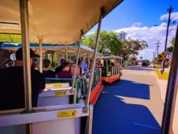 Riding on Old Town Trolley Tours St Augustine 1