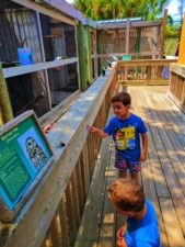 Taylor Family at Ponce Inlet Marine Science Center Bird Recovery 1