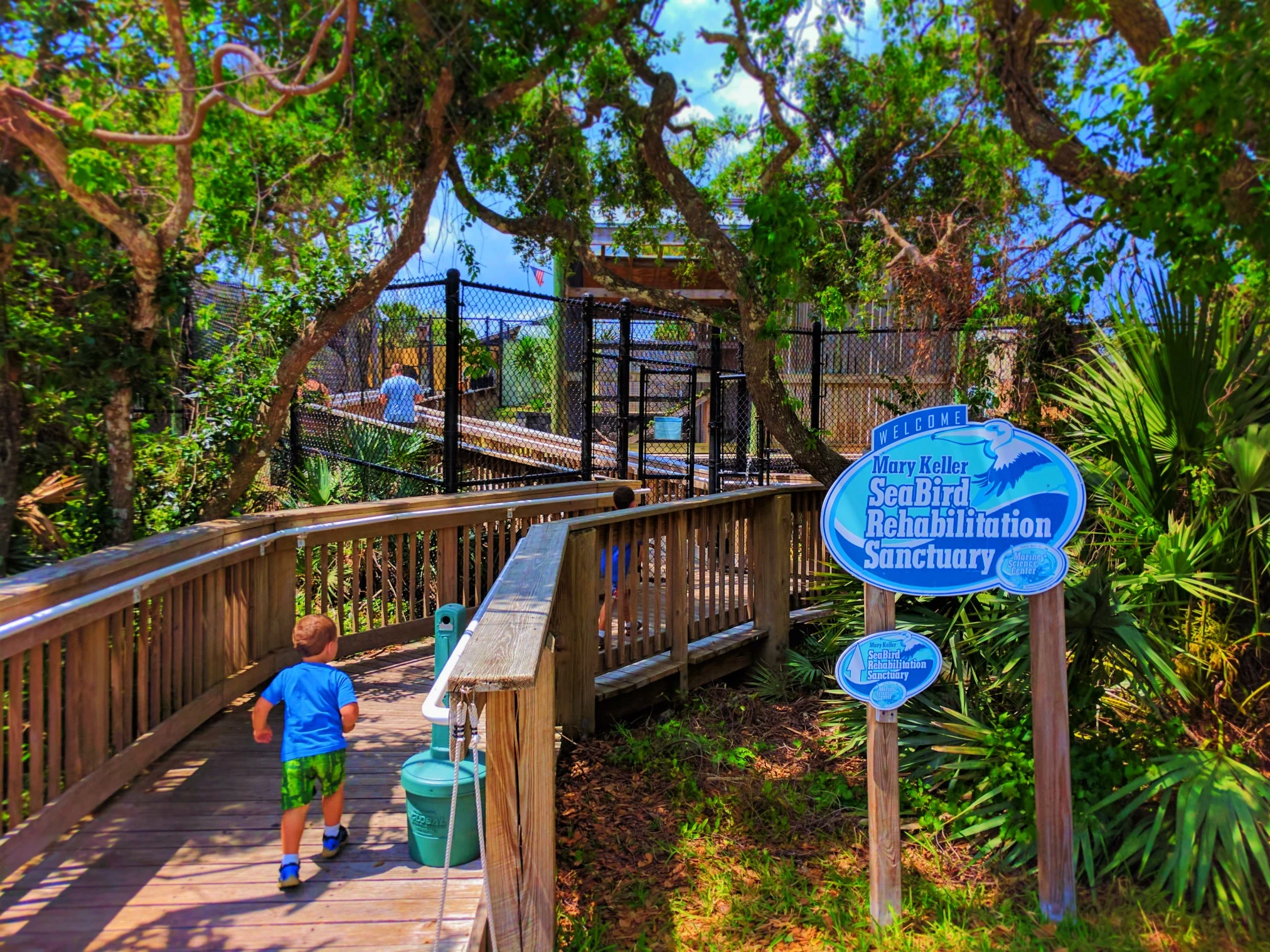 Taylor Family at Ponce Inlet Marine Science Center Bird Recovery 2