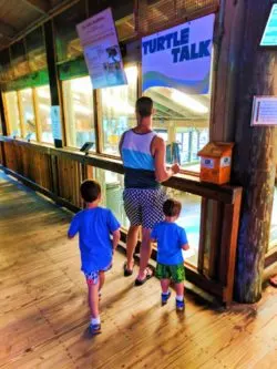 Taylor Family at Ponce Inlet Marine Science Center Sea Turtle ICU 2