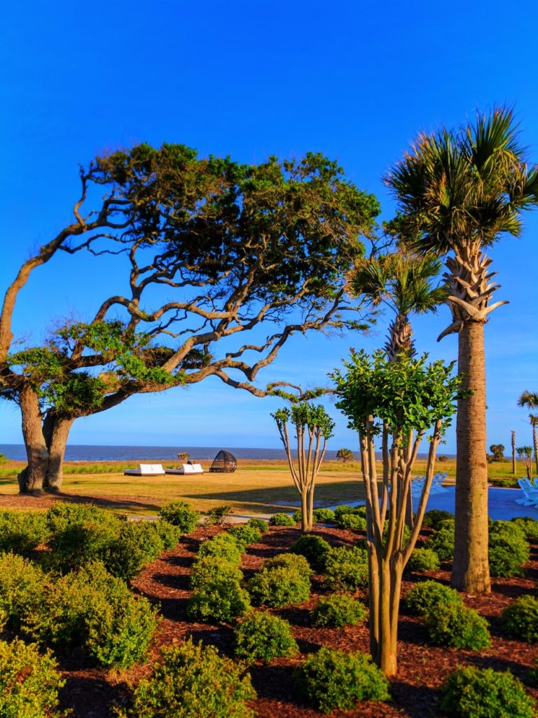Beach grounds at Holiday Inn Resort Jekyll Island Golden Isles Georgia 1